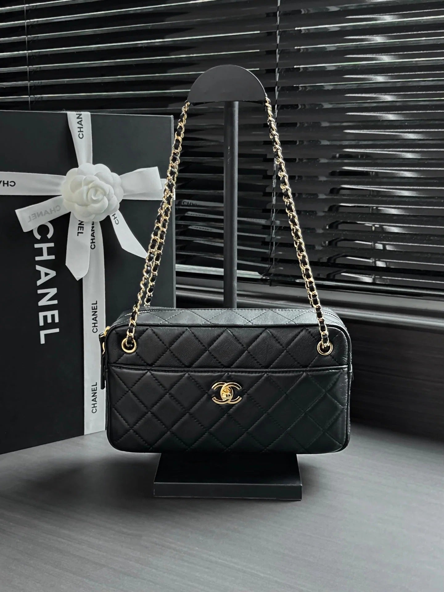 Chanel 2026 Camera Bag 24.5cm Suede Lambskin